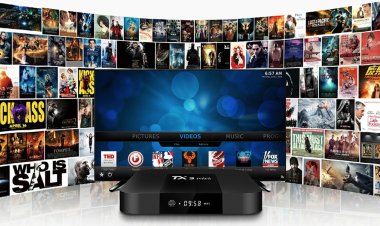 Intrebari si Raspunsuri